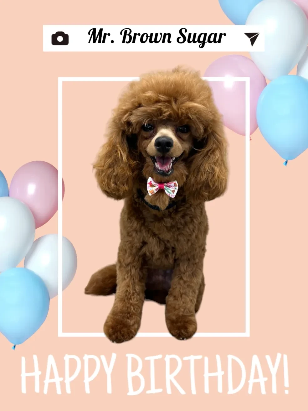 Birthdays
