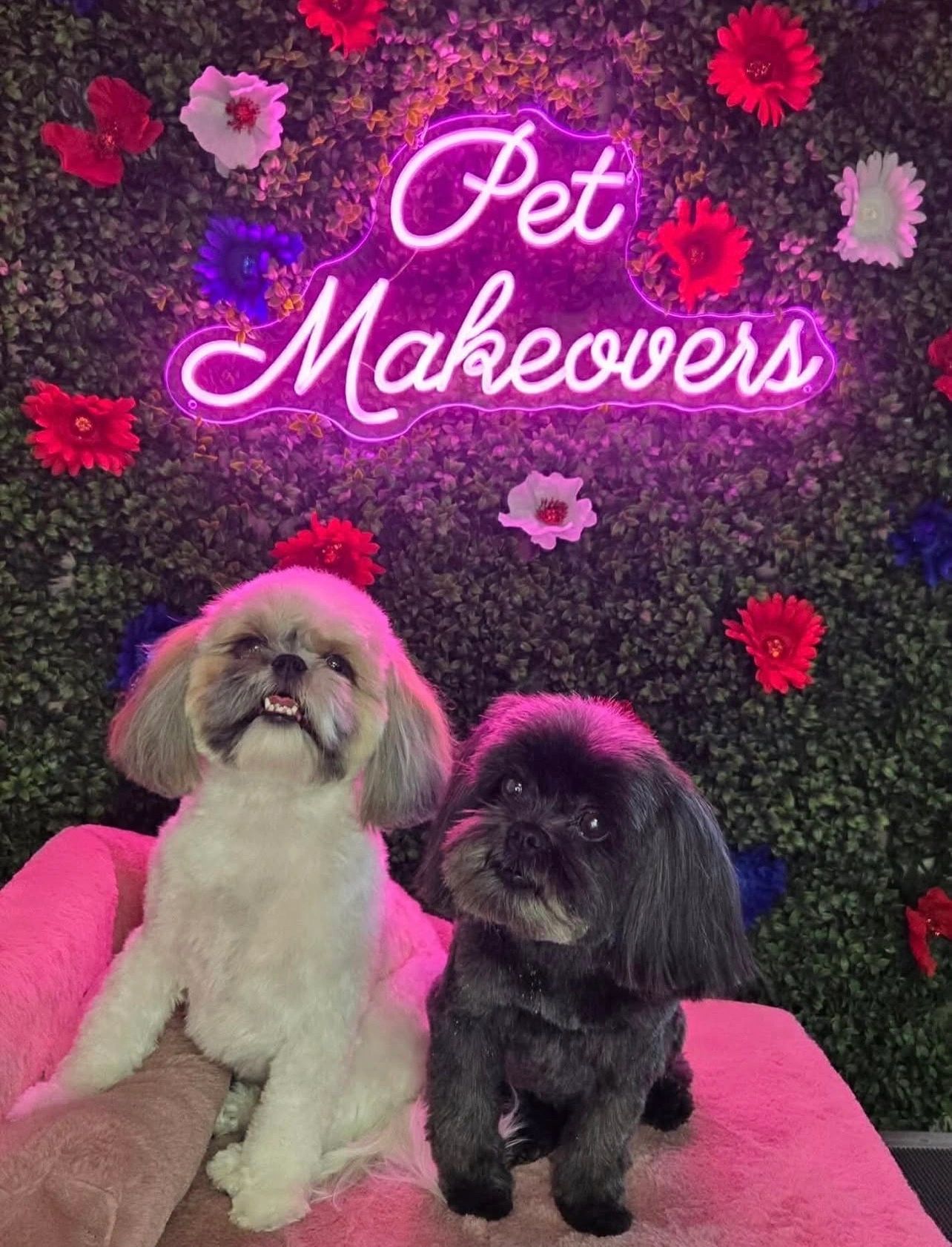 Pet Makeovers neon sign with two dogs